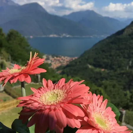 Angolo Di Lago *